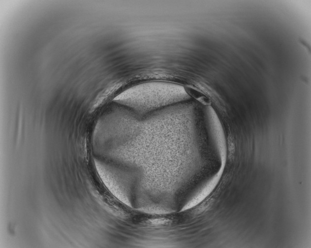 X0000100210158200806201452