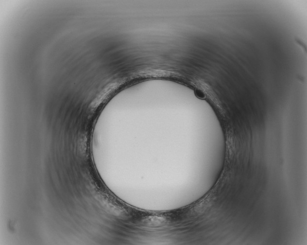 X0000100210159200806201452