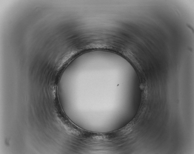 X0000100210160200806201452
