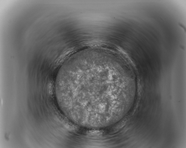X0000100210161200806201452