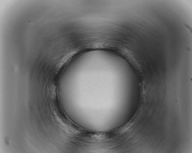 X0000100210164200806201452