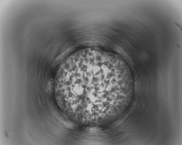 X0000100210165200806201452