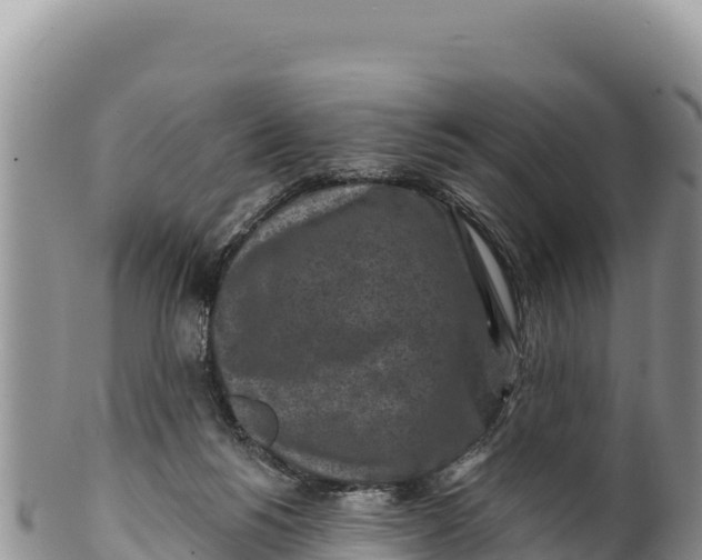 X0000100210168200806201452