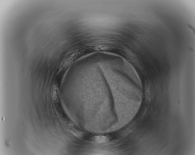 X0000100210169200806201453