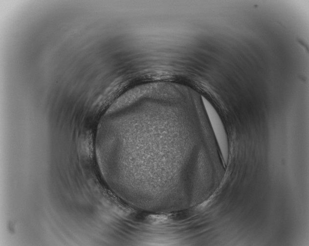 X0000100210170200806201453