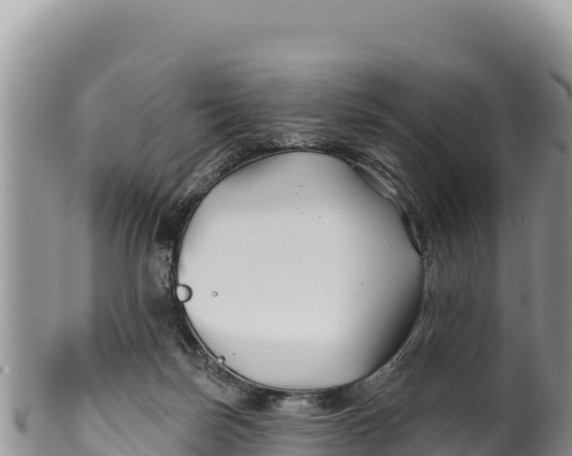 X0000100210171200806201453