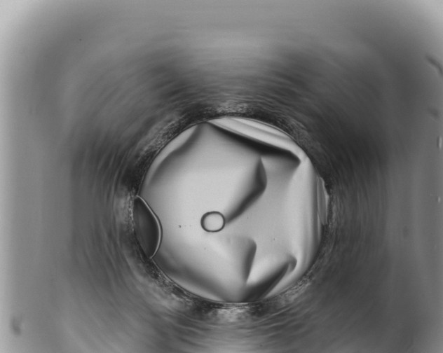 X0000100210172200806201453