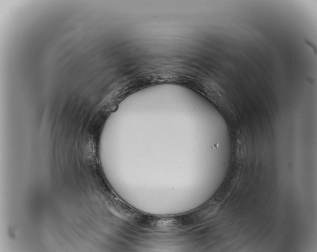 X0000100210173200806201453