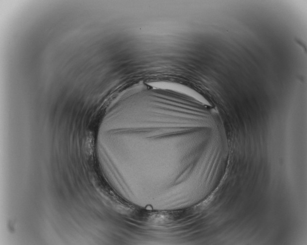 X0000100210174200806201453
