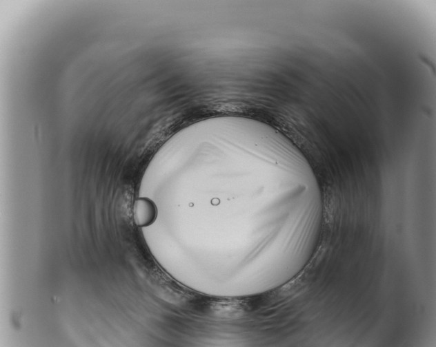 X0000100210175200806201453