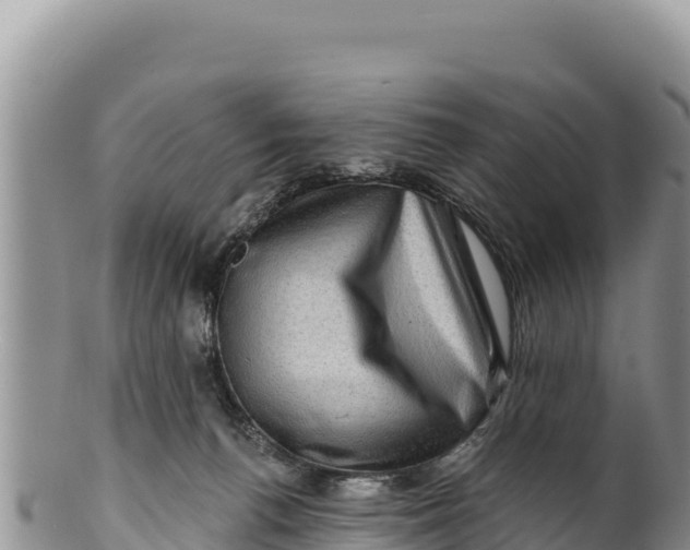 X0000100210176200806201453
