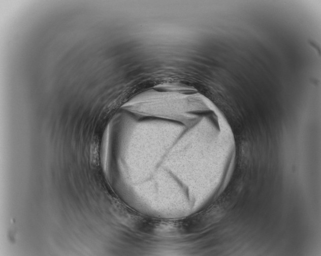 X0000100210177200806201453
