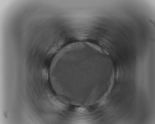X0000100210180200806201453