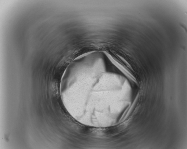 X0000100210182200806201453