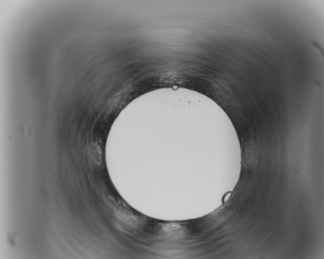 X0000100210183200806201453