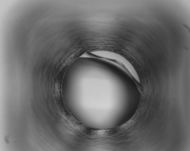 X0000100210184200806201453