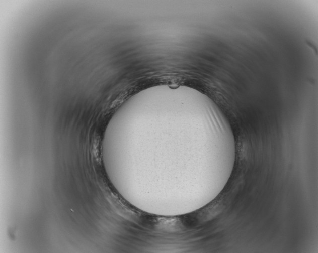 X0000100210185200806201453