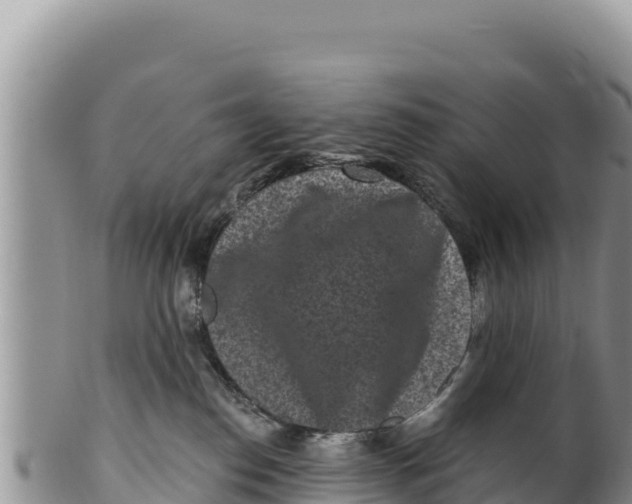 X0000100210186200806201453