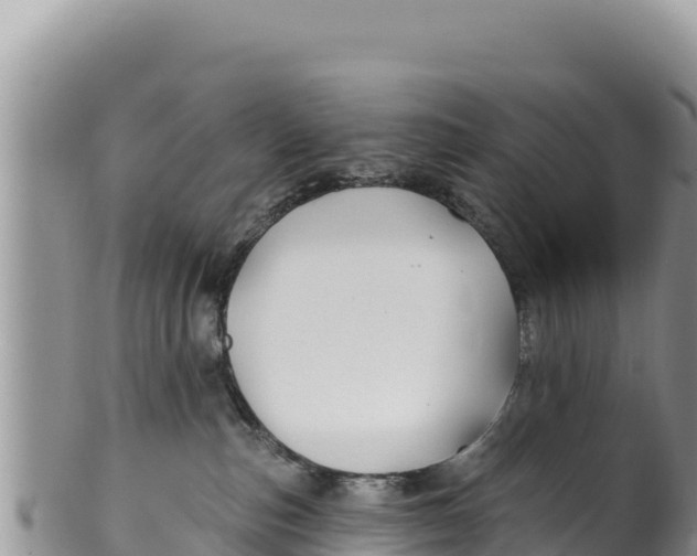 X0000100210187200806201453
