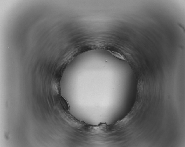 X0000100210188200806201453
