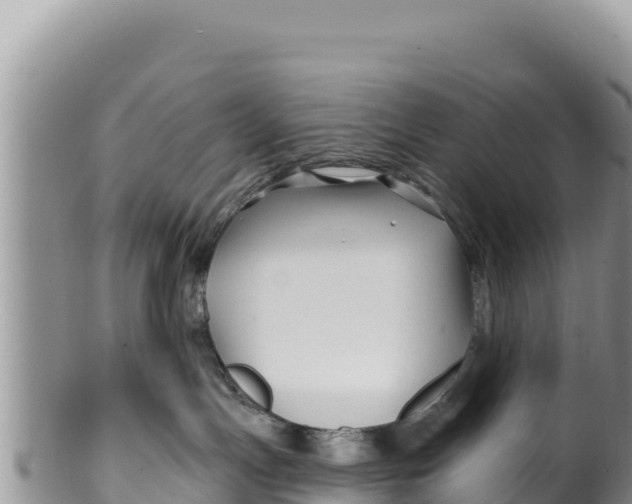 X0000100210191200806201453