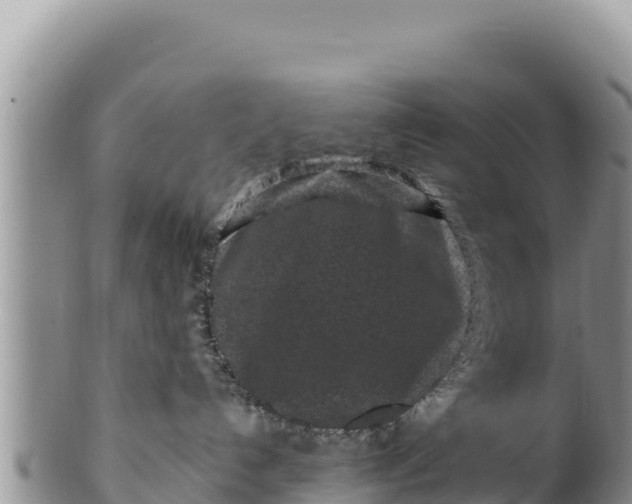 X0000100210192200806201453