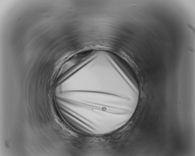X0000100210193200806201452
