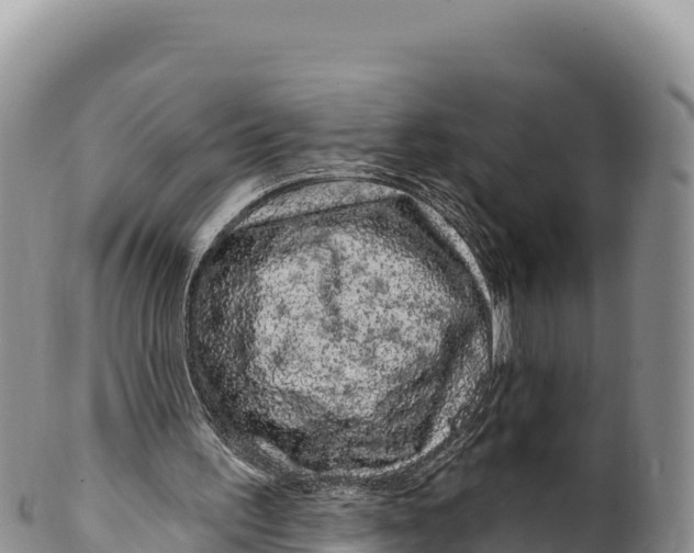 X0000100210195200806201452