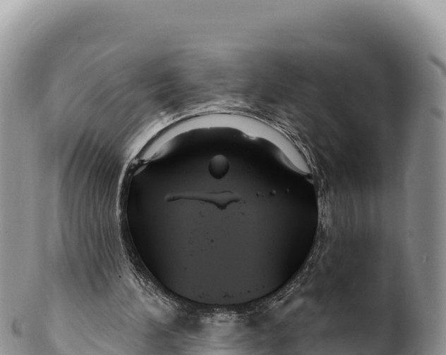 X0000100210196200806201452