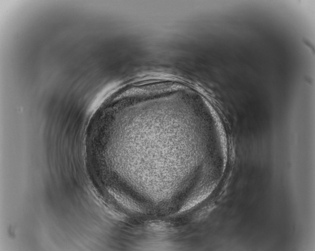 X0000100210199200806201452