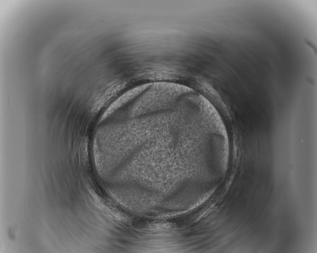 X0000100210202200806201452