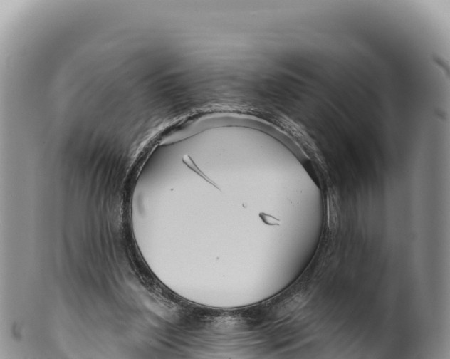 X0000100210204200806201452