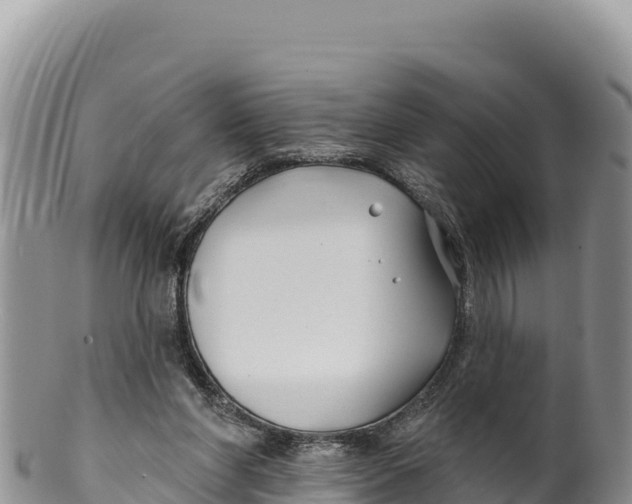 X0000100210206200806201452