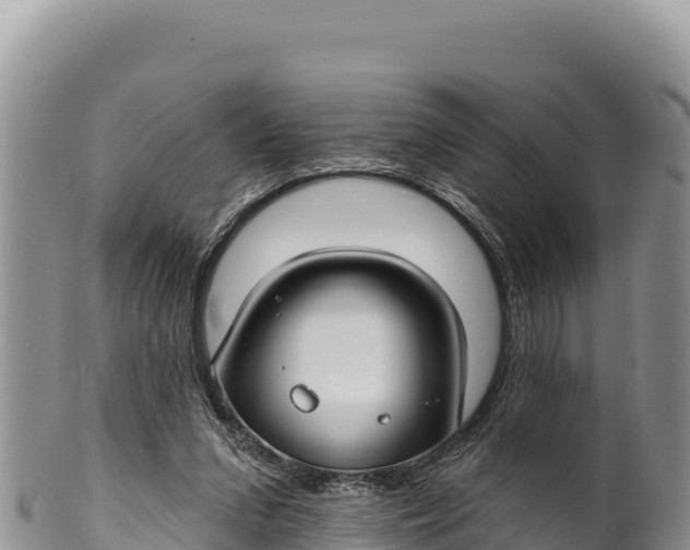 X0000100210207200806201452