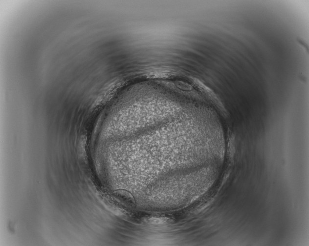 X0000100210209200806201452