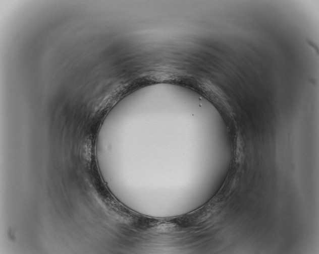 X0000100210210200806201452