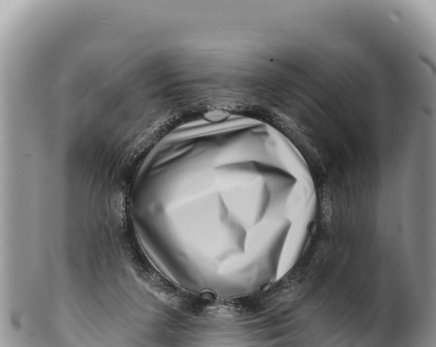 X0000100210211200806201452