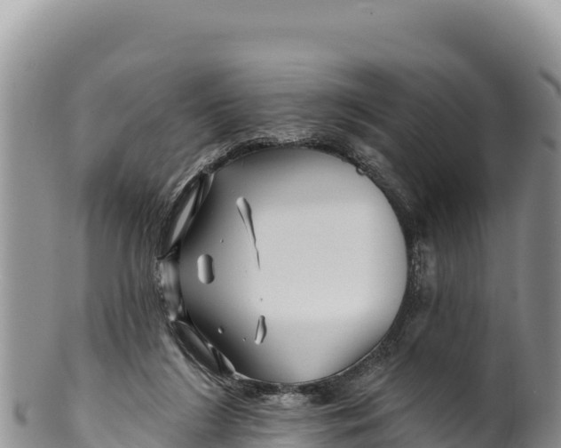 X0000100210212200806201452