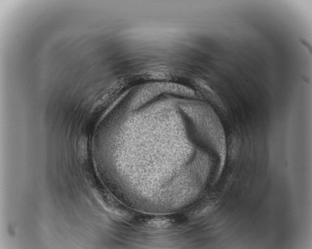 X0000100210213200806201452