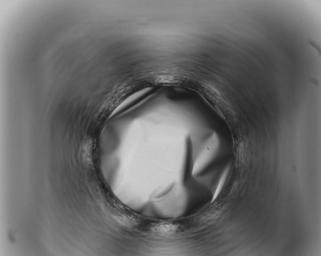 X0000100210217200806201452