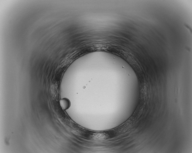 X0000100210218200806201452