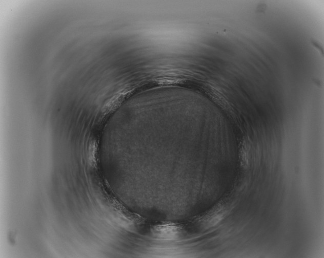 X0000100210219200806201452