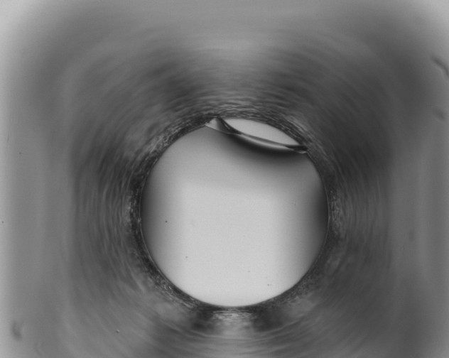 X0000100210221200806201452