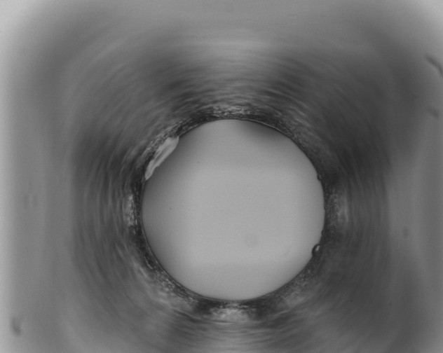 X0000100210224200806201452