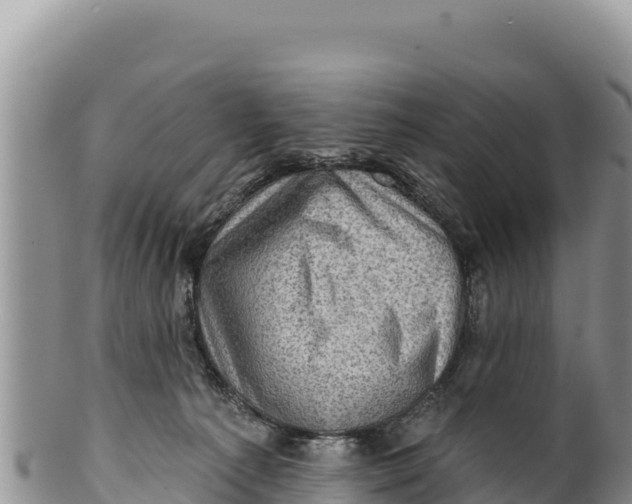 X0000100210225200806201452