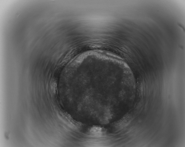 X0000100210227200806201452