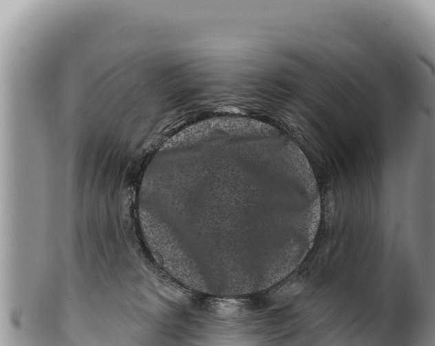 X0000100210229200806201452