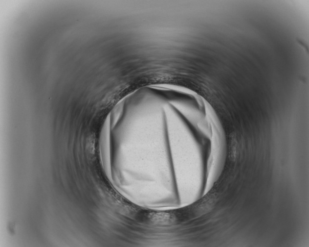 X0000100210230200806201452
