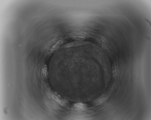 X0000100210231200806201452