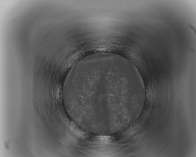 X0000100210233200806201452